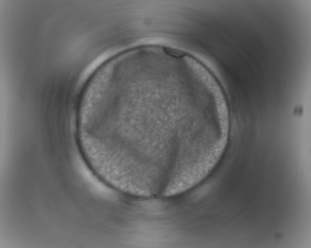 X0000113950999200910161935
