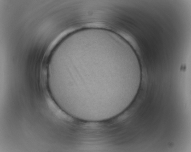 X0000113951000200910161935