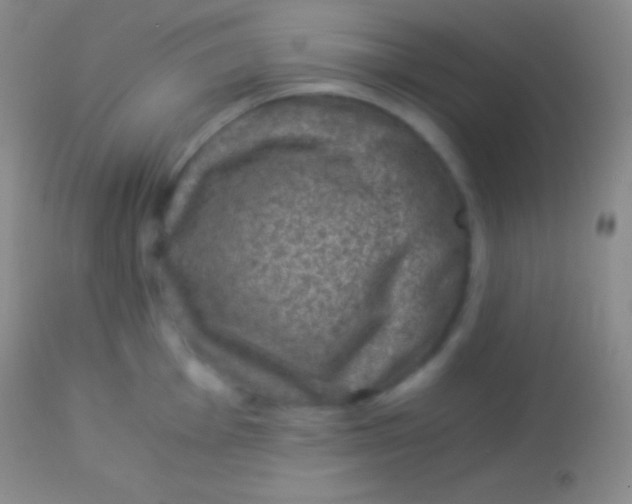 X0000113951001200910161935