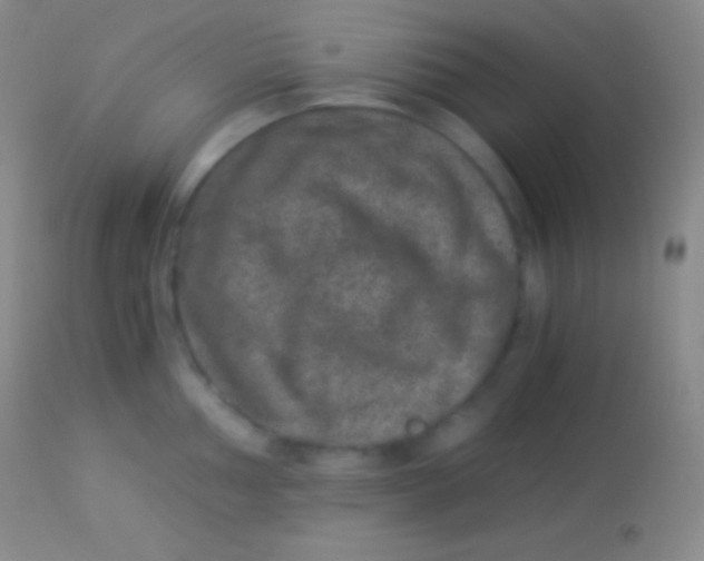 X0000113951002200910161935