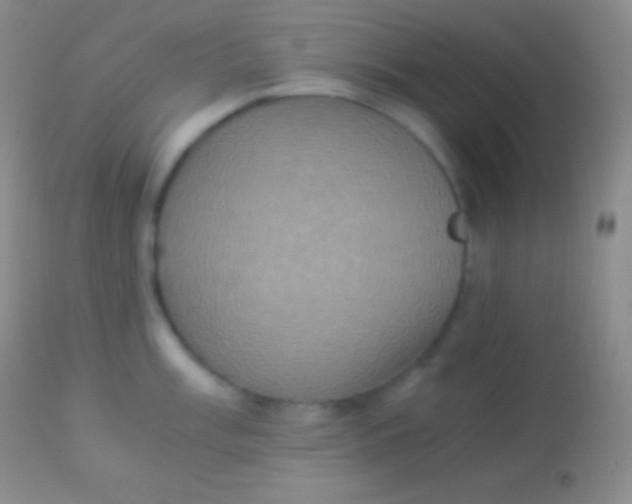 X0000113951003200910161935