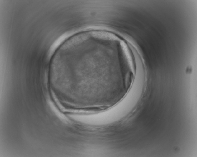 X0000113951005200910161935