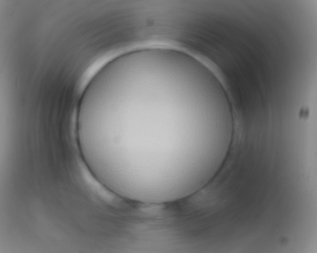 X0000113951006200910161935