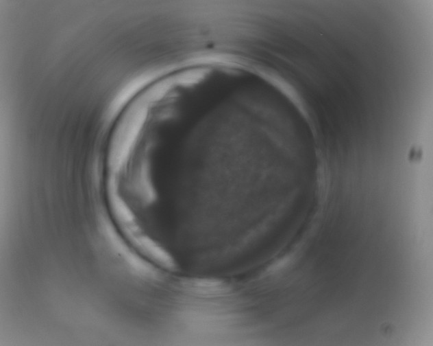 X0000113951007200910161935