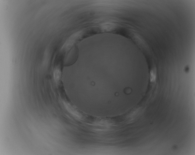 X0000113951011200910161934