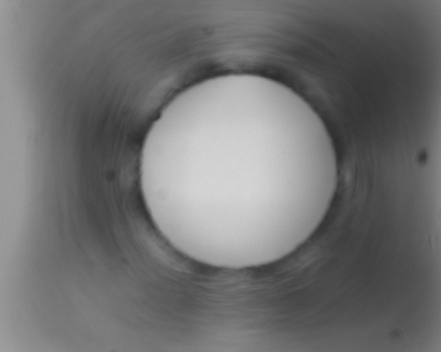 X0000113951012200910161934