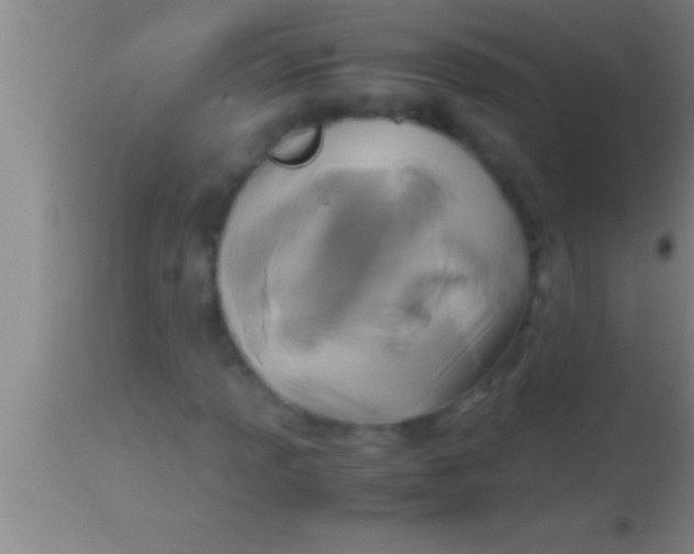 X0000113951013200910161934