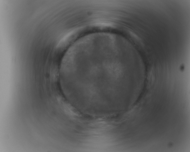 X0000113951014200910161934