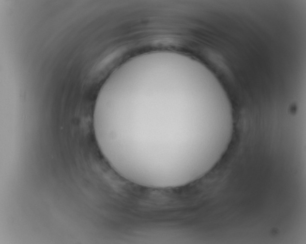 X0000113951015200910161934