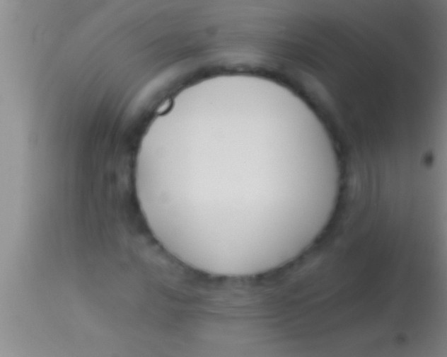 X0000113951016200910161934