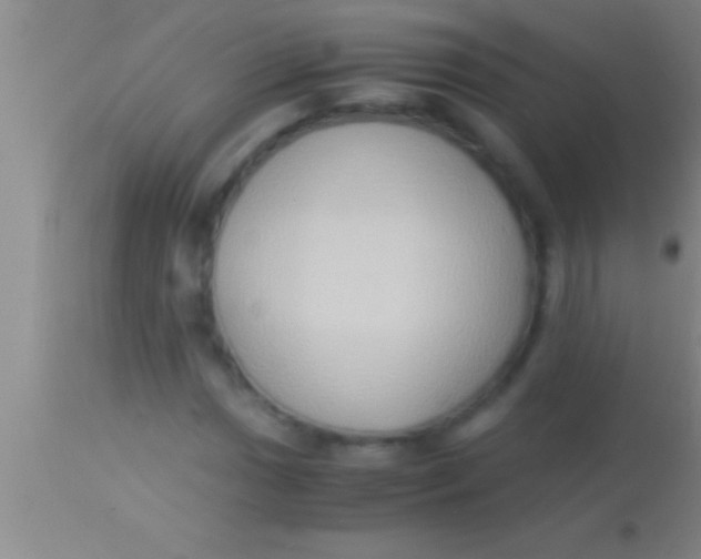X0000113951017200910161934