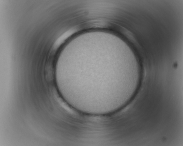 X0000113951018200910161934