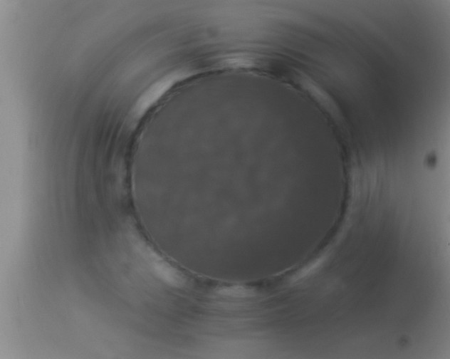 X0000113951023200910161934
