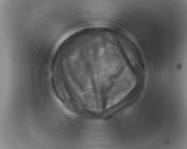 X0000113951024200910161934