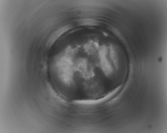 X0000113951025200910161934