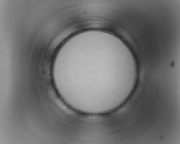 X0000113951026200910161934