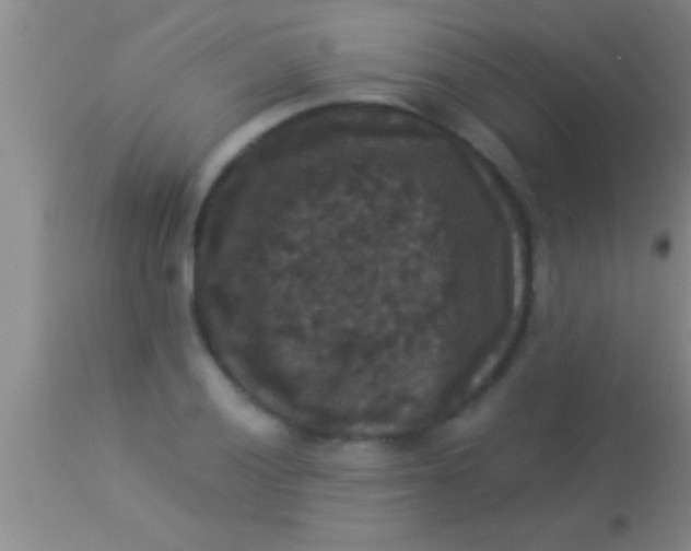 X0000113951028200910161934