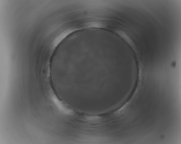X0000113951031200910161934