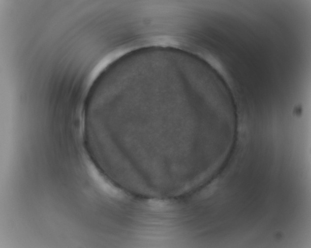 X0000113951032200910161934