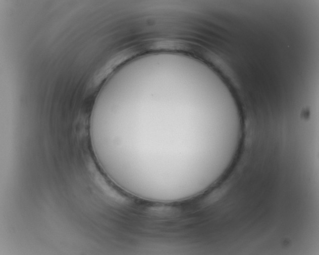 X0000113951033200910161934