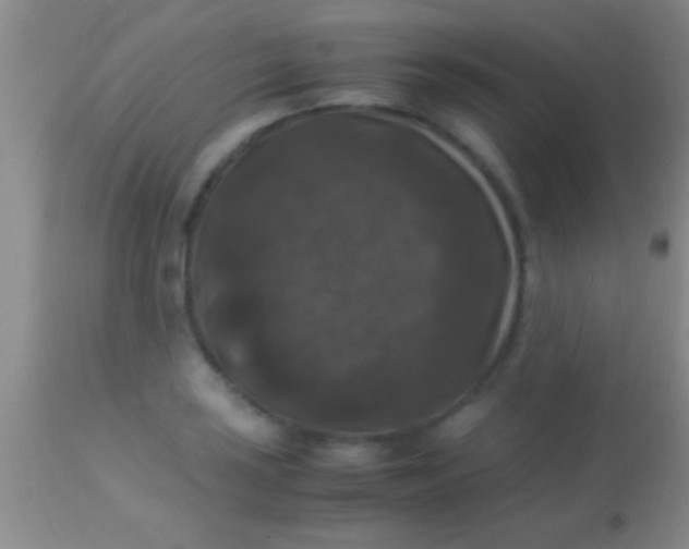 X0000113951035200910161934