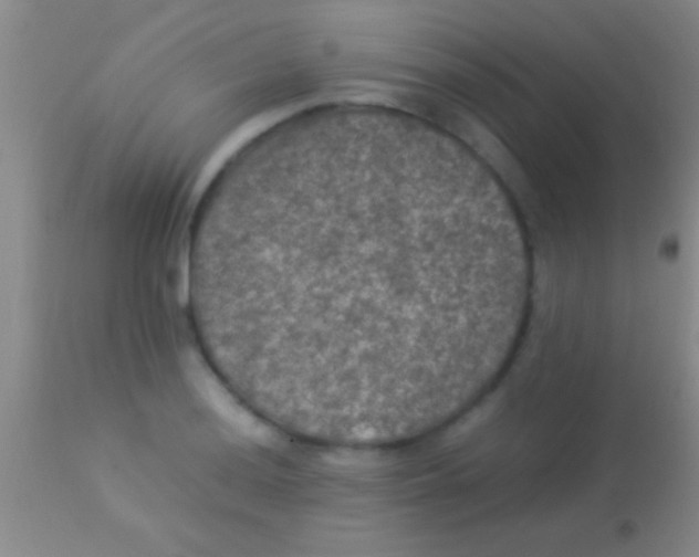 X0000113951036200910161934