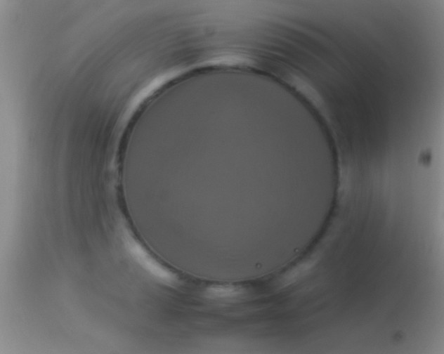 X0000113951037200910161934