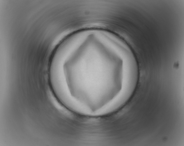 X0000113951038200910161935