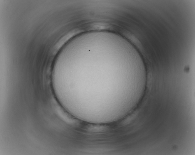 X0000113951039200910161935