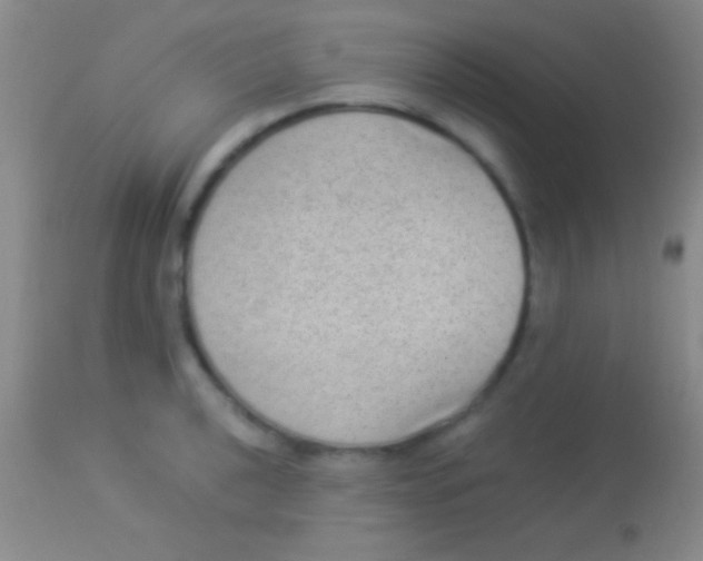 X0000113951040200910161935