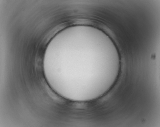 X0000113951041200910161935