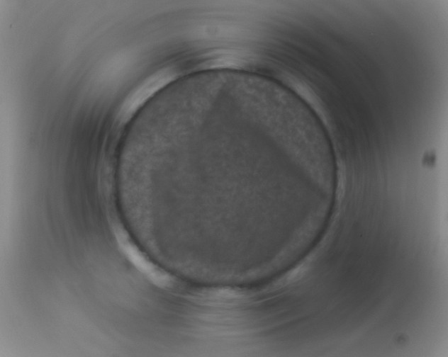 X0000113951042200910161935