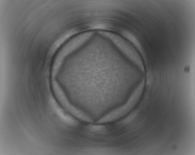 X0000113951043200910161935