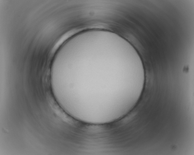X0000113951044200910161935