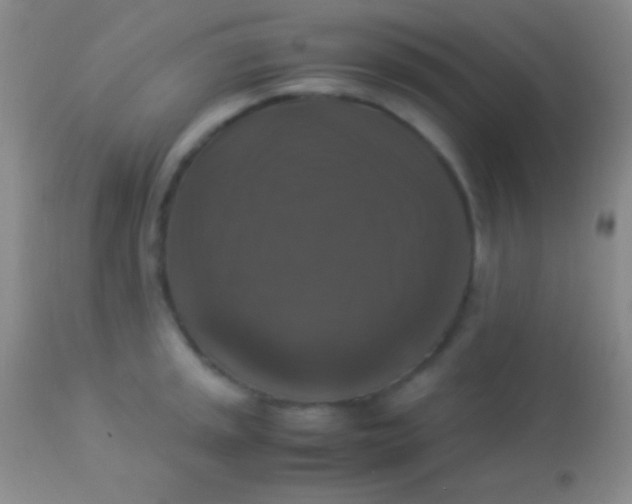 X0000113951045200910161935