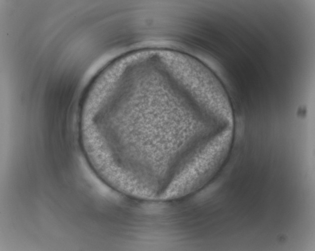 X0000113951046200910161935