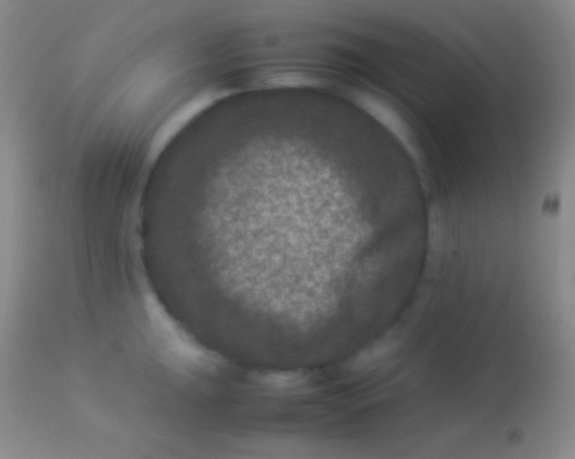 X0000113951047200910161935
