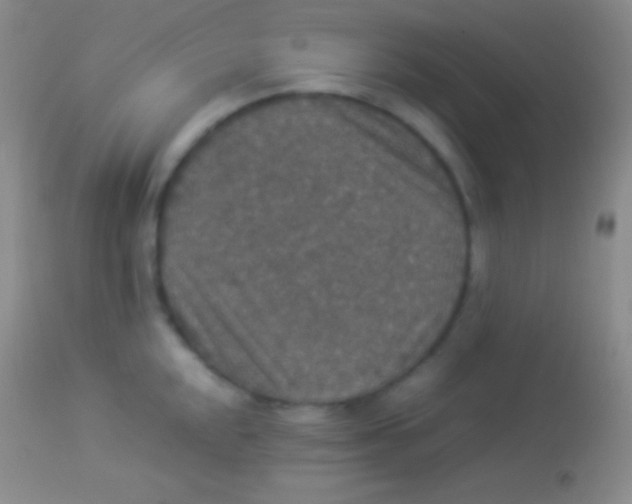 X0000113951048200910161935