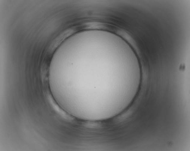 X0000113951049200910161935
