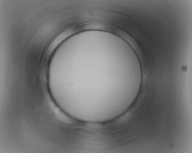 X0000113951050200910161935