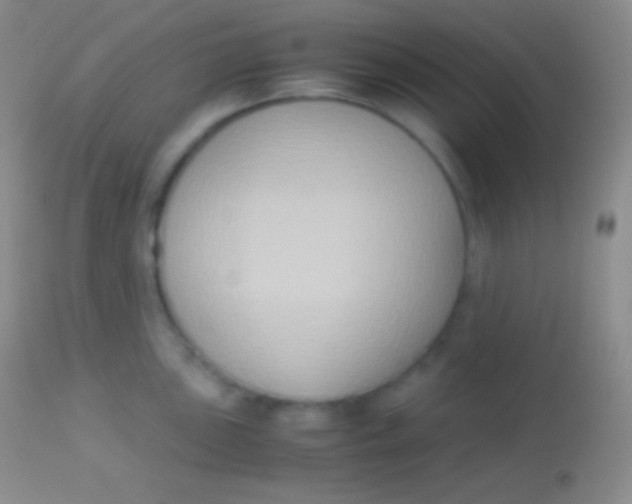 X0000113951051200910161935