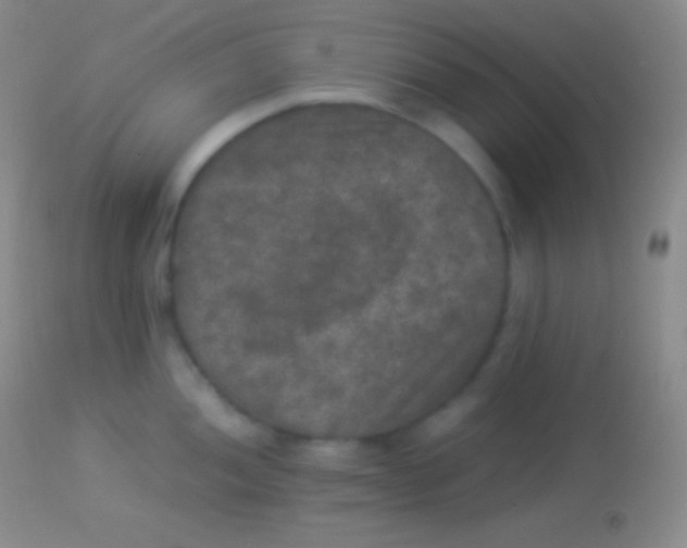 X0000113951052200910161935