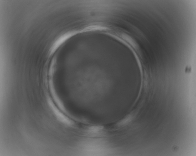 X0000113951055200910161935