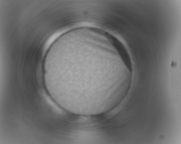 X0000113951056200910161935