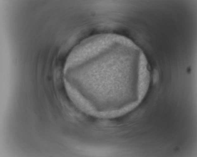 X0000113951059200910161934
