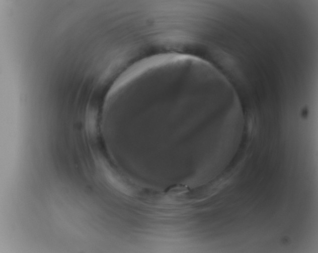 X0000113951060200910161934