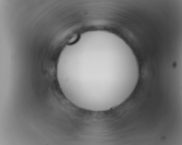 X0000113951062200910161934