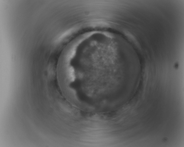 X0000113951063200910161934