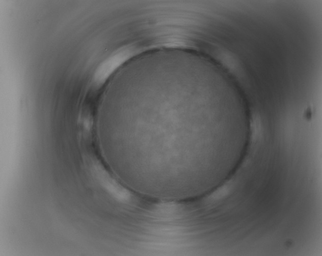 X0000113951065200910161934