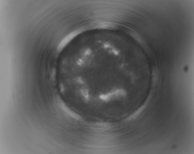 X0000113951066200910161934